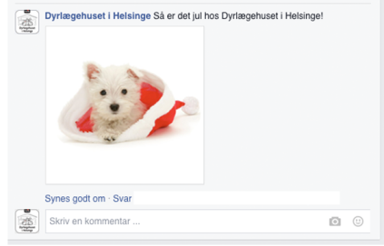 Facebook ved dyrlægehuset i Helsinge